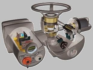 image005(001) image005(001)