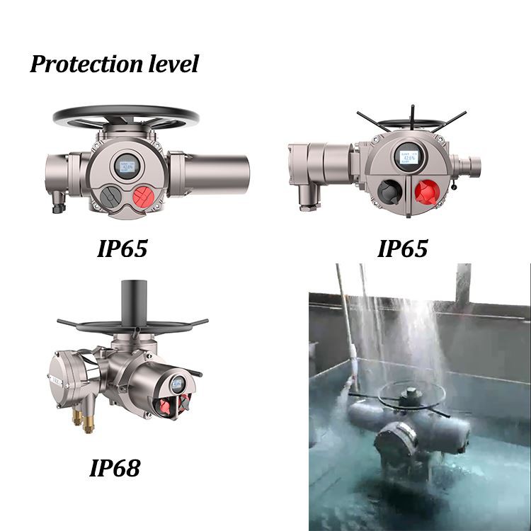 multi-turn electric actuator