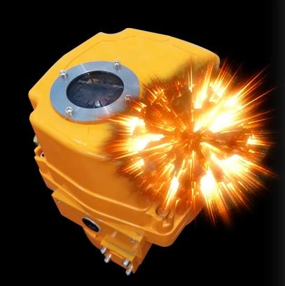 QT_12 QT_12