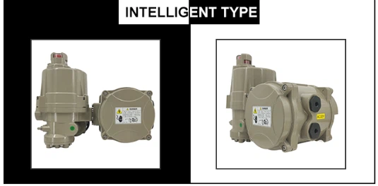 QT-type part-turn electric valve actuator