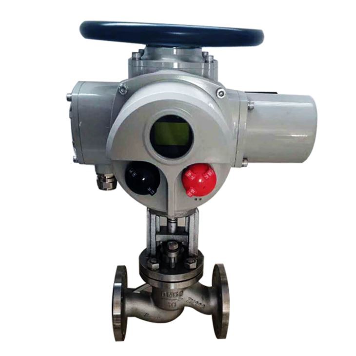 Cast Stainless Steel Flanged Globe Valve
