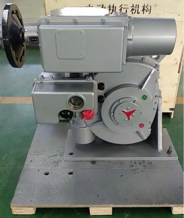 Exported To Malaysia Electric Actuator SMB-RS250F60HT Obtained Customer Approval