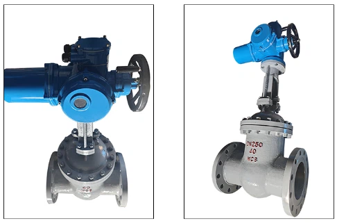 product-486-321 product-486-321
