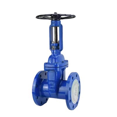 Flange Rising Stem Wedge Single Gate Valve