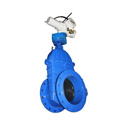 Resilient Seated Gate Pressure Reducing Valve