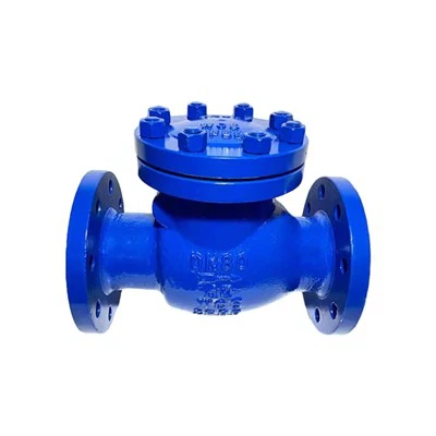 Swing Chromium Molybdenum Steel One-way Check Valve