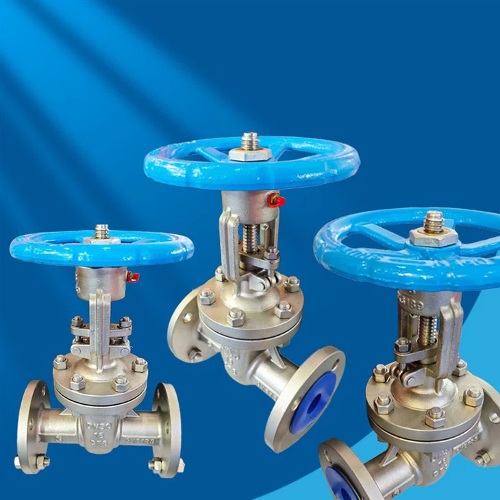 Stainless Steel DN50 PN16 Handwheel Gate Valve