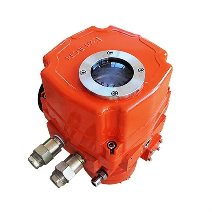Explosion Proof With Limit Switches Actuator