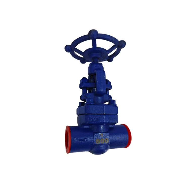 1inch Class 300 Steam Control Welded Globe Valve