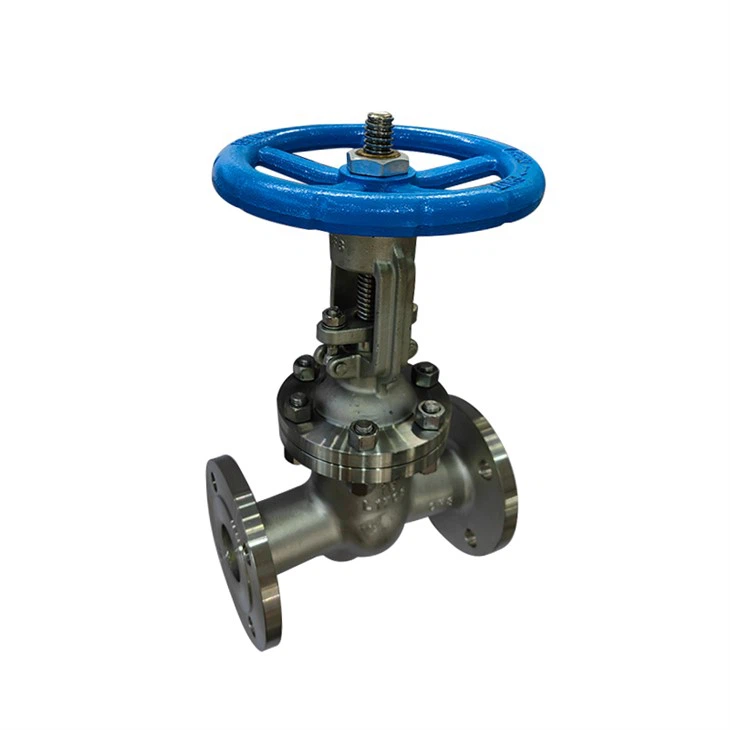 Dn50 Stainless Steel Metal Sealing Gate Valve