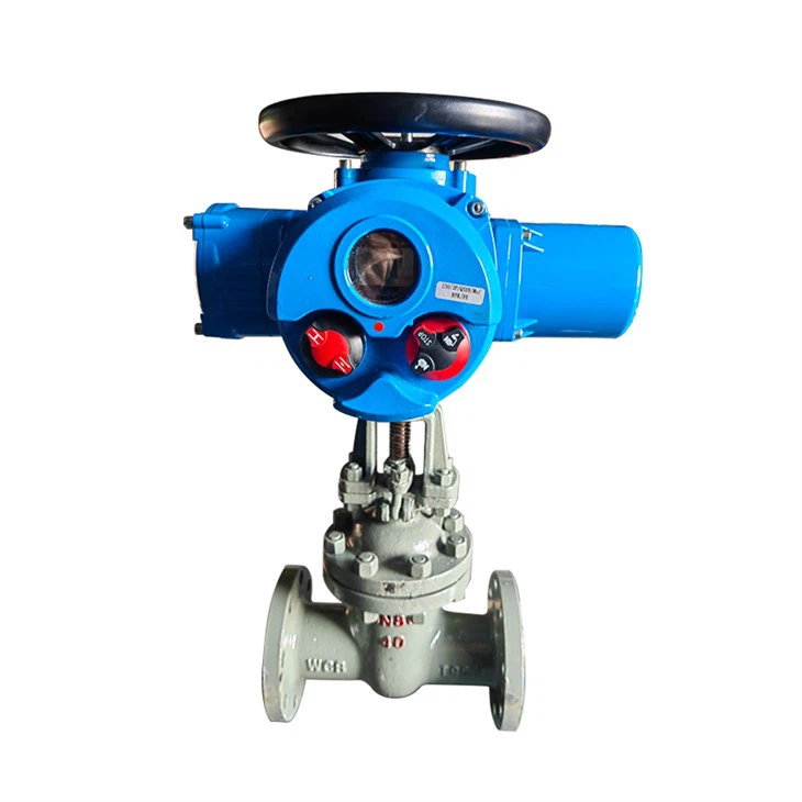 Intelligent Automation Motorized Pressure Gate Valve