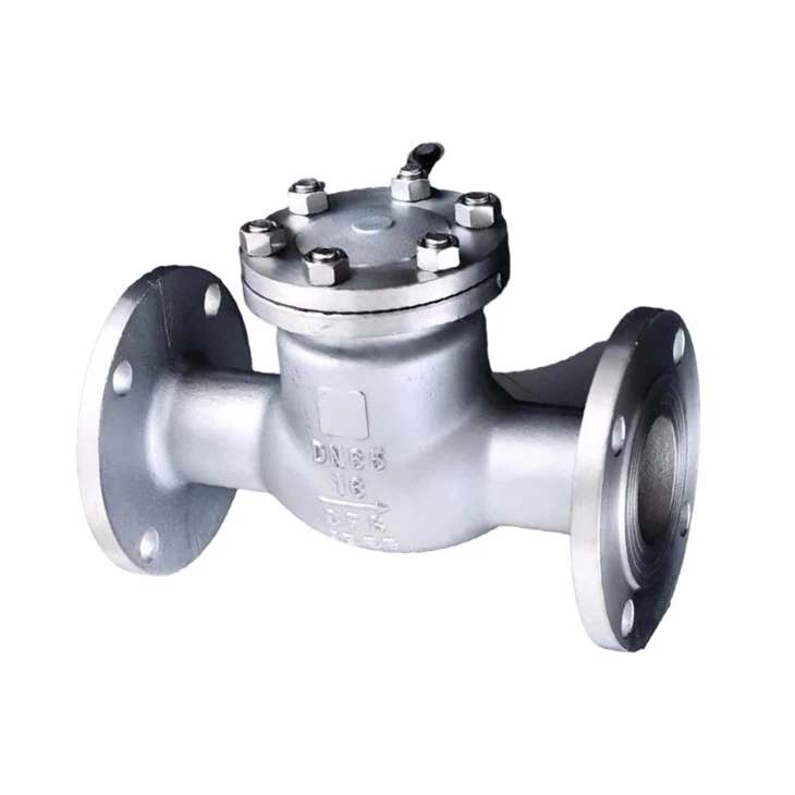 Stainless Steel 316 Swing Check Valve