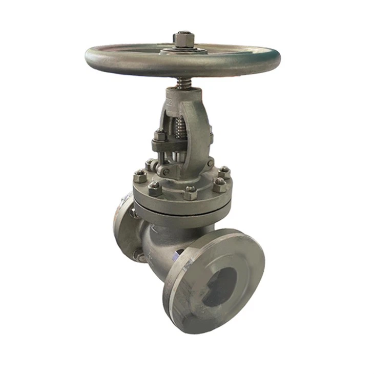 ASME Class150 FlangeTitanium Globe Valve