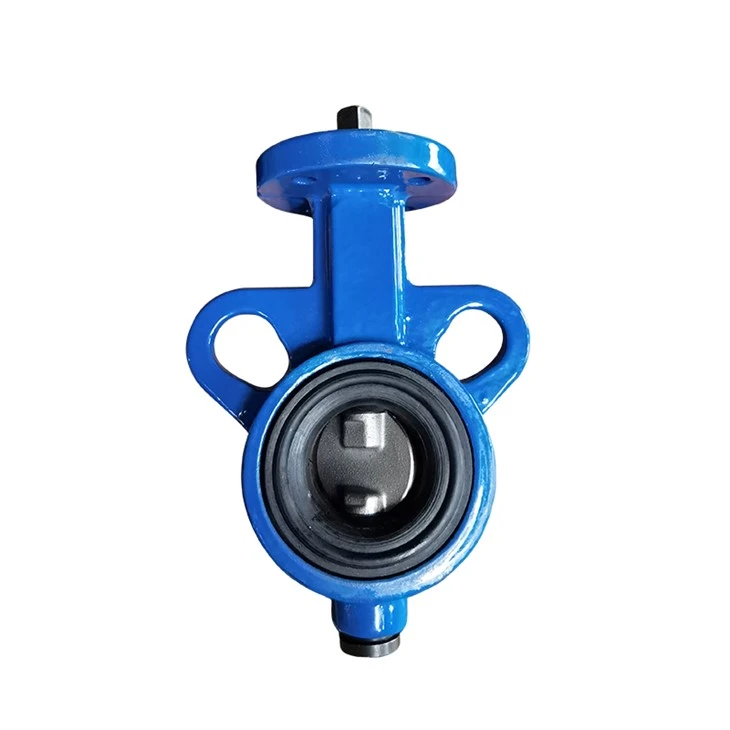 DN32 Small Size EPDM Lining Butterfly Valve